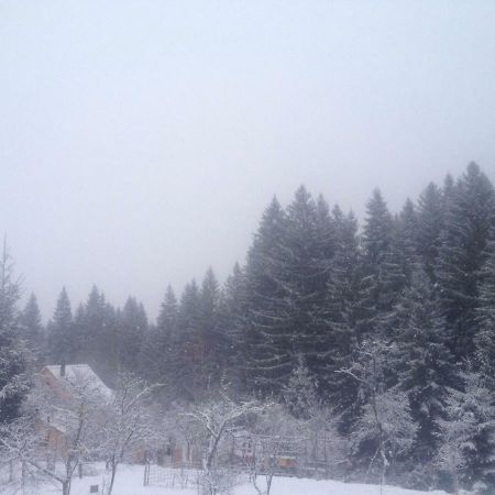 Forest Vibes Spa Cîmpu lui Neag Exterior foto