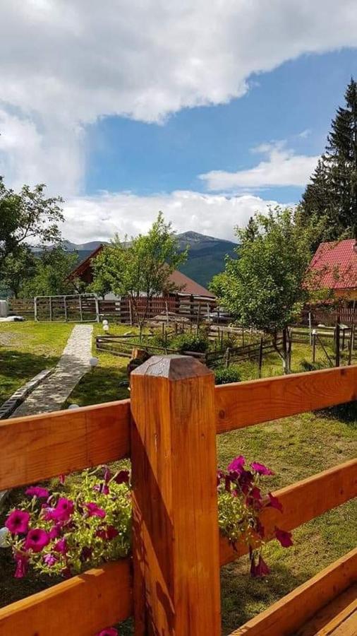 Forest Vibes Spa Cîmpu lui Neag Exterior foto