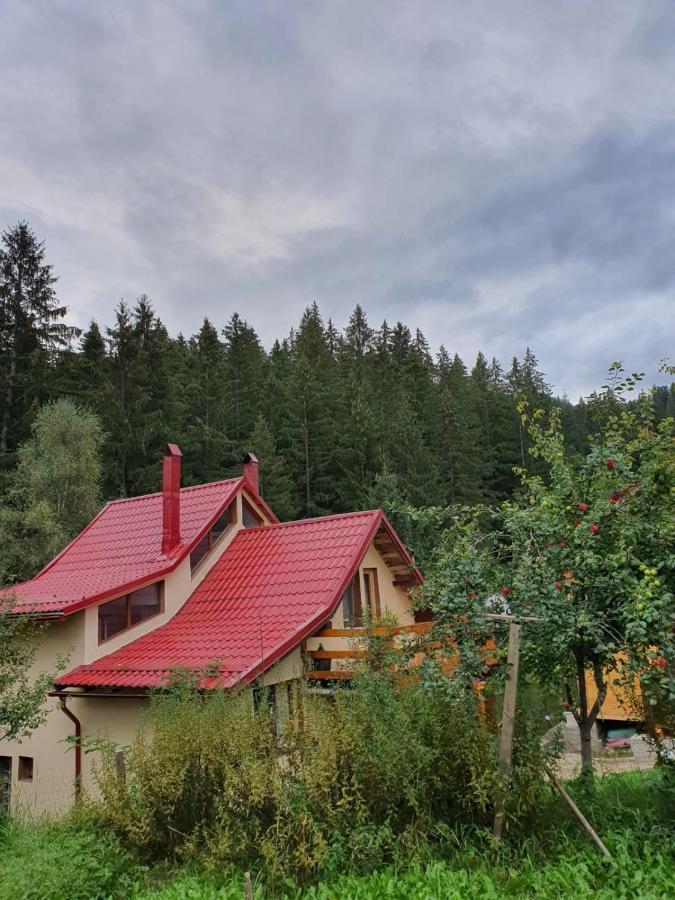 Forest Vibes Spa Cîmpu lui Neag Exterior foto