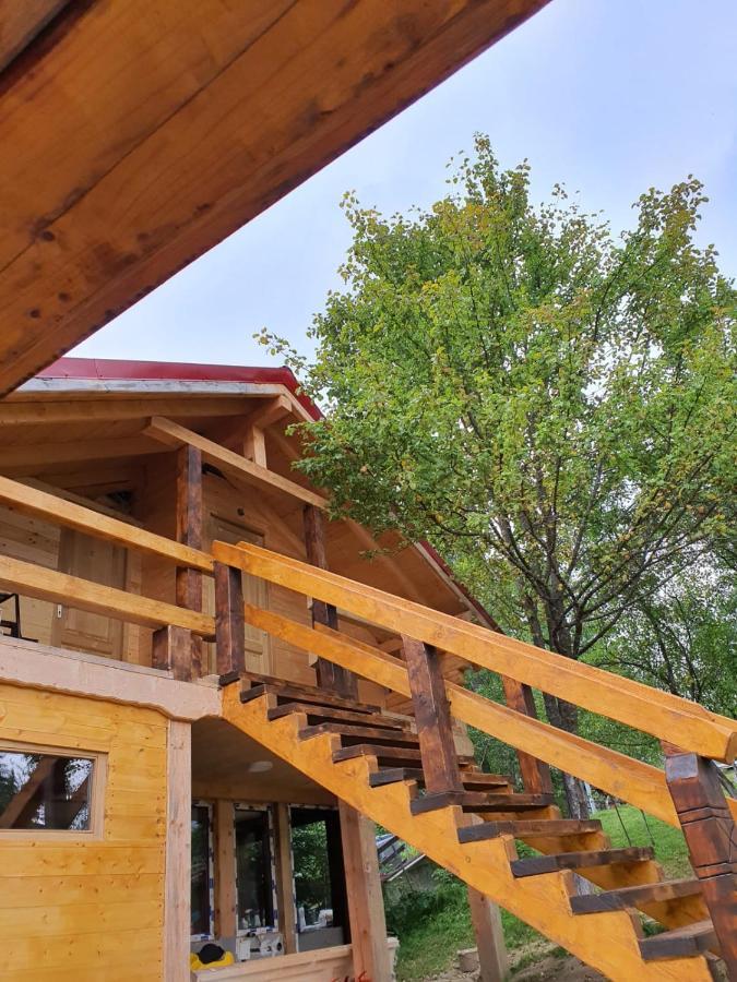 Forest Vibes Spa Cîmpu lui Neag Exterior foto