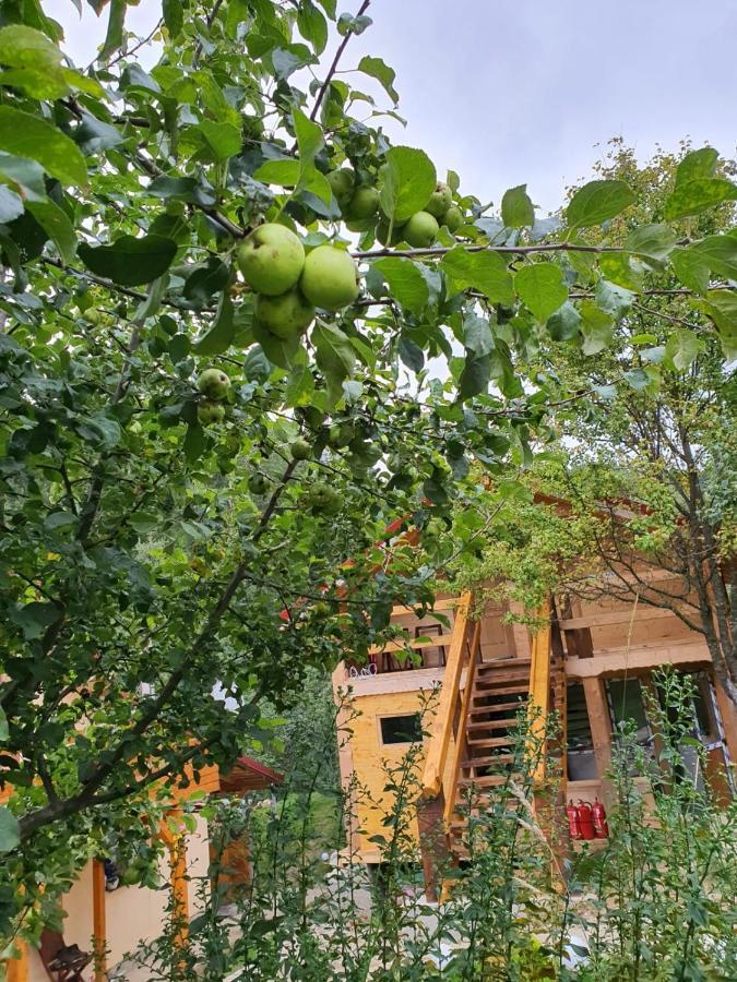 Forest Vibes Spa Cîmpu lui Neag Exterior foto