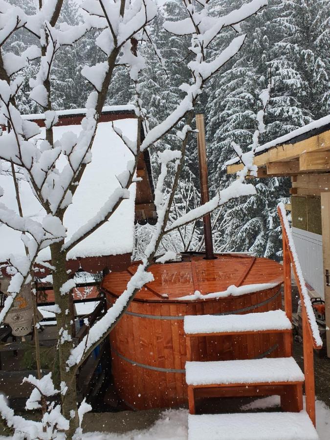 Forest Vibes Spa Cîmpu lui Neag Exterior foto