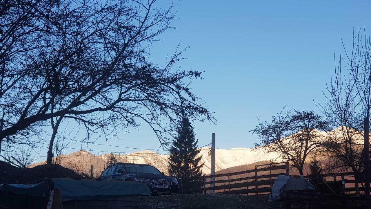 Forest Vibes Spa Cîmpu lui Neag Exterior foto
