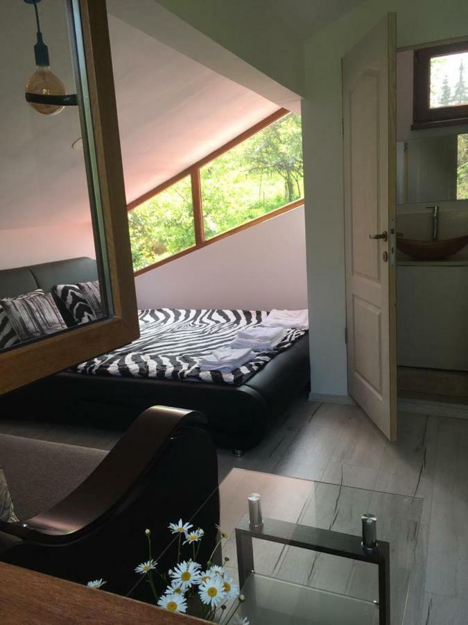 Forest Vibes Spa Cîmpu lui Neag Exterior foto